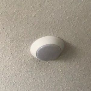 Meet your Posher, Janice